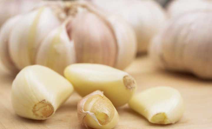 garlic