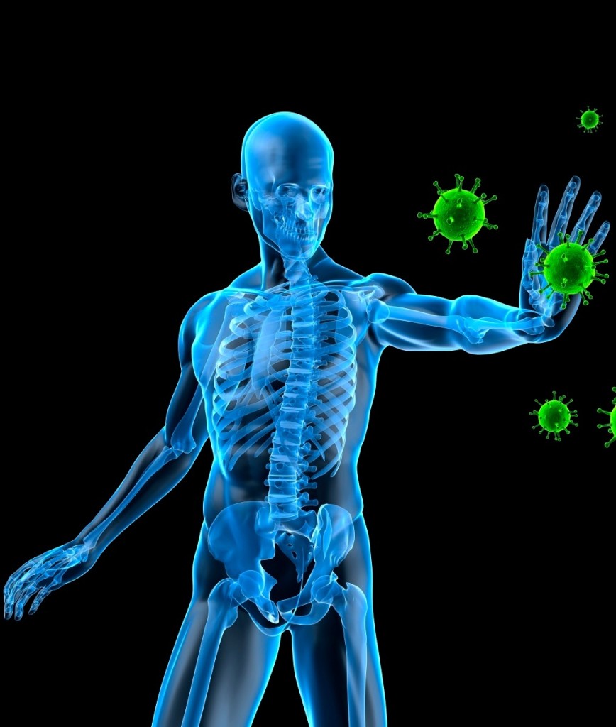 immune_system_rev-868x1024