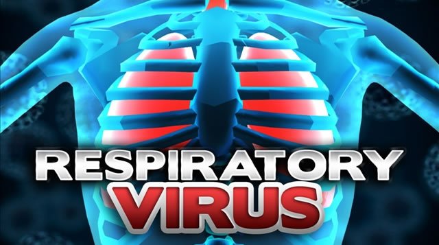 respiratory_virus770